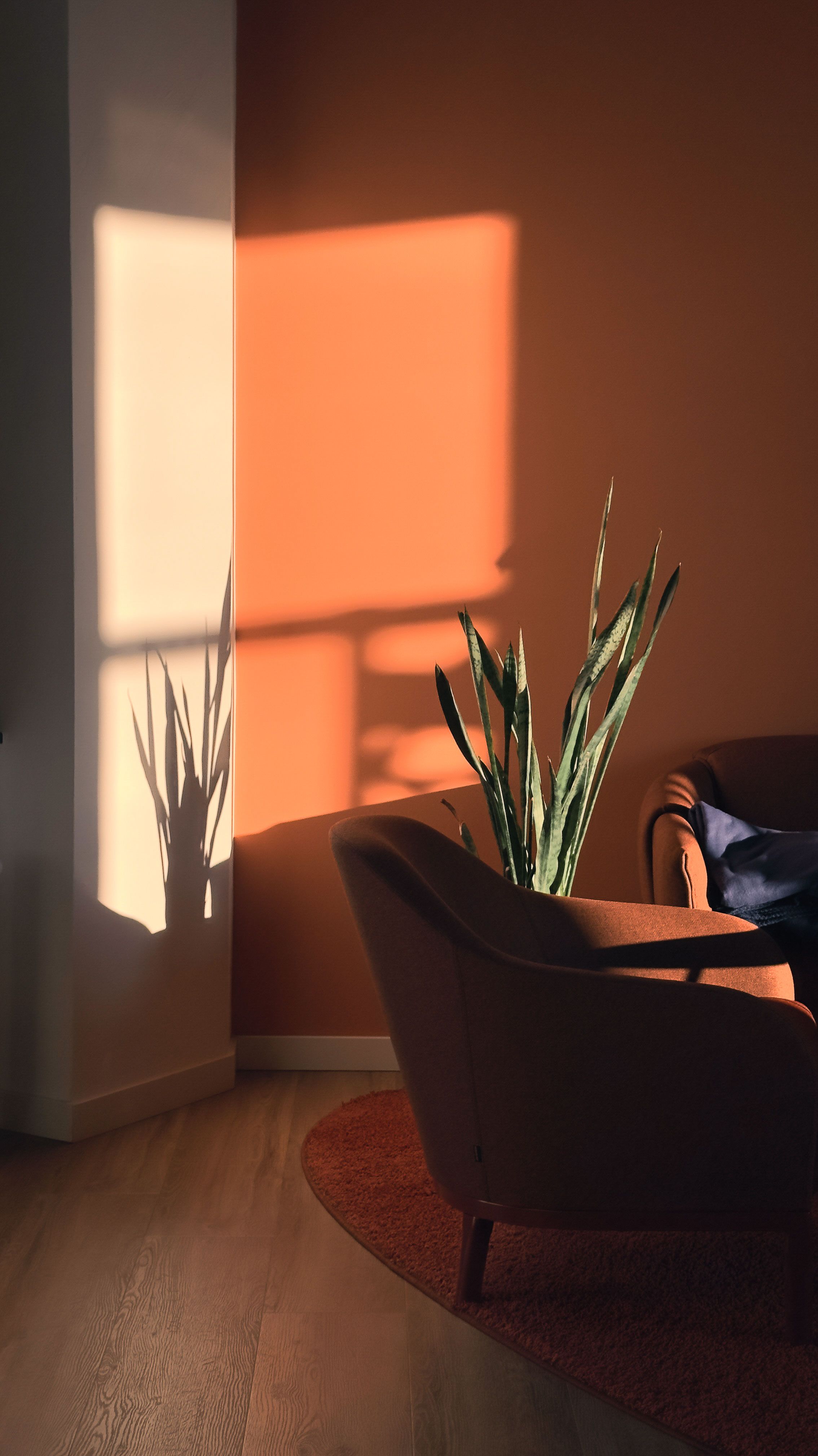 Studio colore — cartella colori